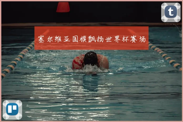 塞尔维亚国旗飘扬世界杯赛场