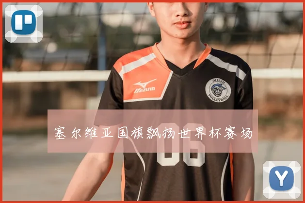 塞尔维亚国旗飘扬世界杯赛场