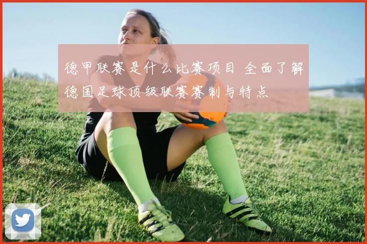 德甲联赛是什么比赛项目 全面了解德国足球顶级联赛赛制与特点