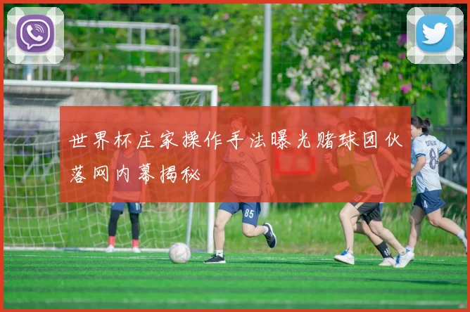 世界杯庄家操作手法曝光赌球团伙落网内幕揭秘
