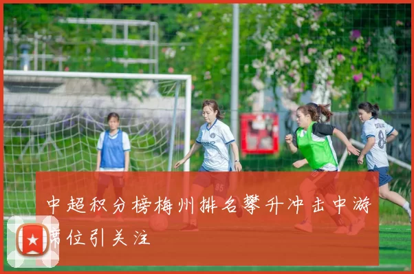 中超积分榜梅州排名攀升冲击中游席位引关注