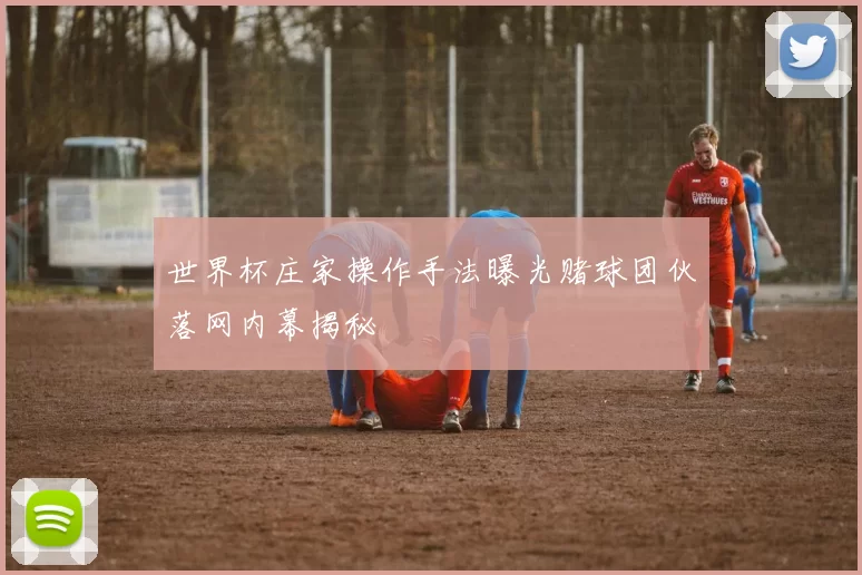 世界杯庄家操作手法曝光赌球团伙落网内幕揭秘