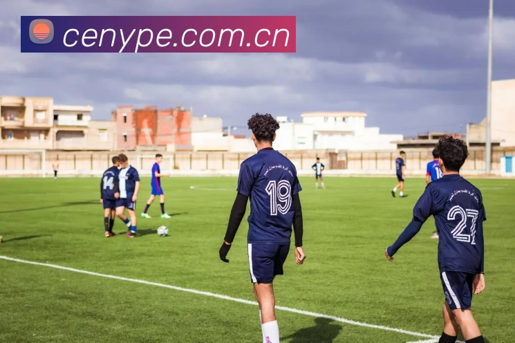 bsport体育在线登录(中国)官方在线登录发展历程